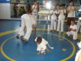 /album/capoeira/a380795-113569885424094-337758781-n-jpg/